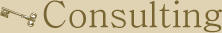 Consulting[�R���T���e�B���O]